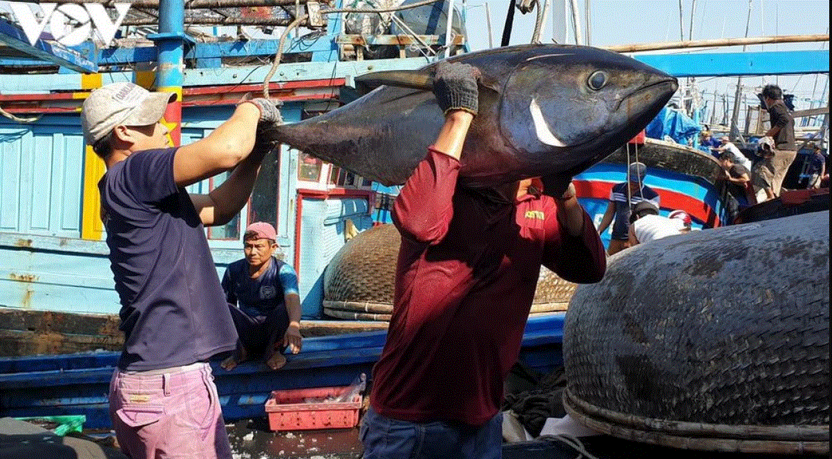 VASEP ngôi nhà chung của doanh nghiệp thủy sản