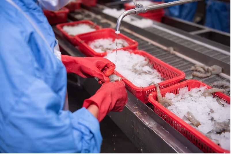 Infographic Xuất khẩu tôm Việt Nam, T1-T52023 