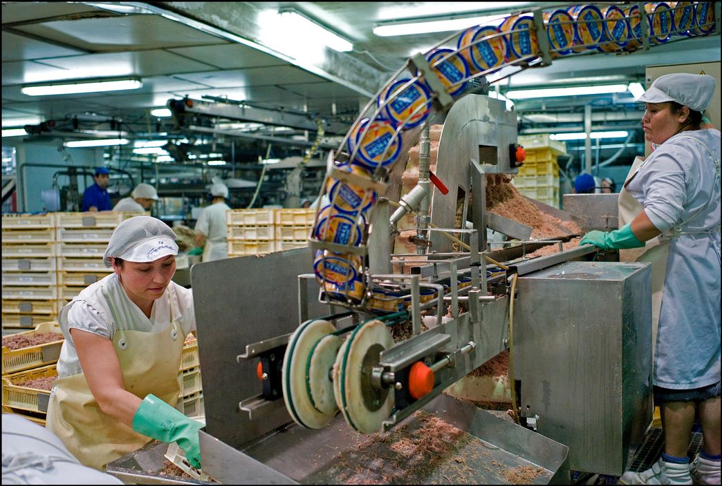 Giá cá ngừ vây vàng tại EU giảm do cung tăng