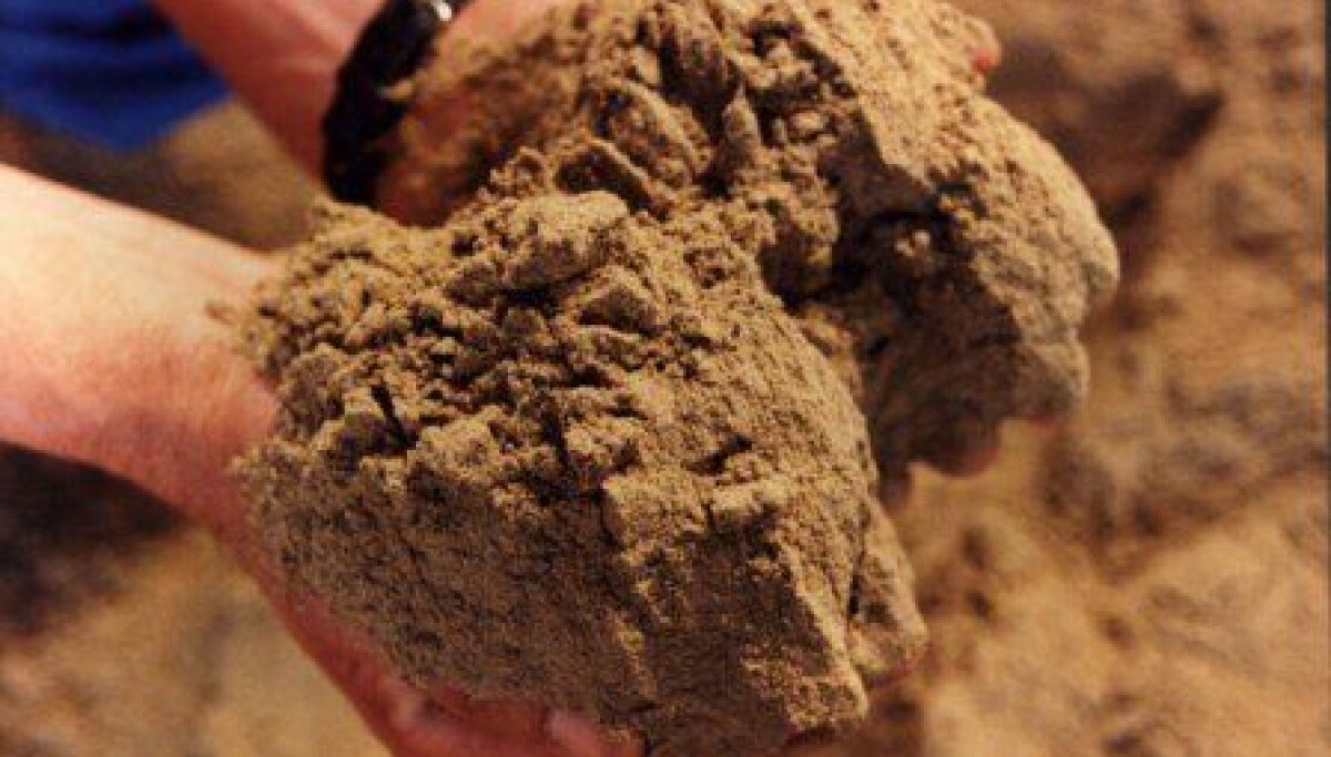 Giá bột cá ở Trung Quốc tăng 