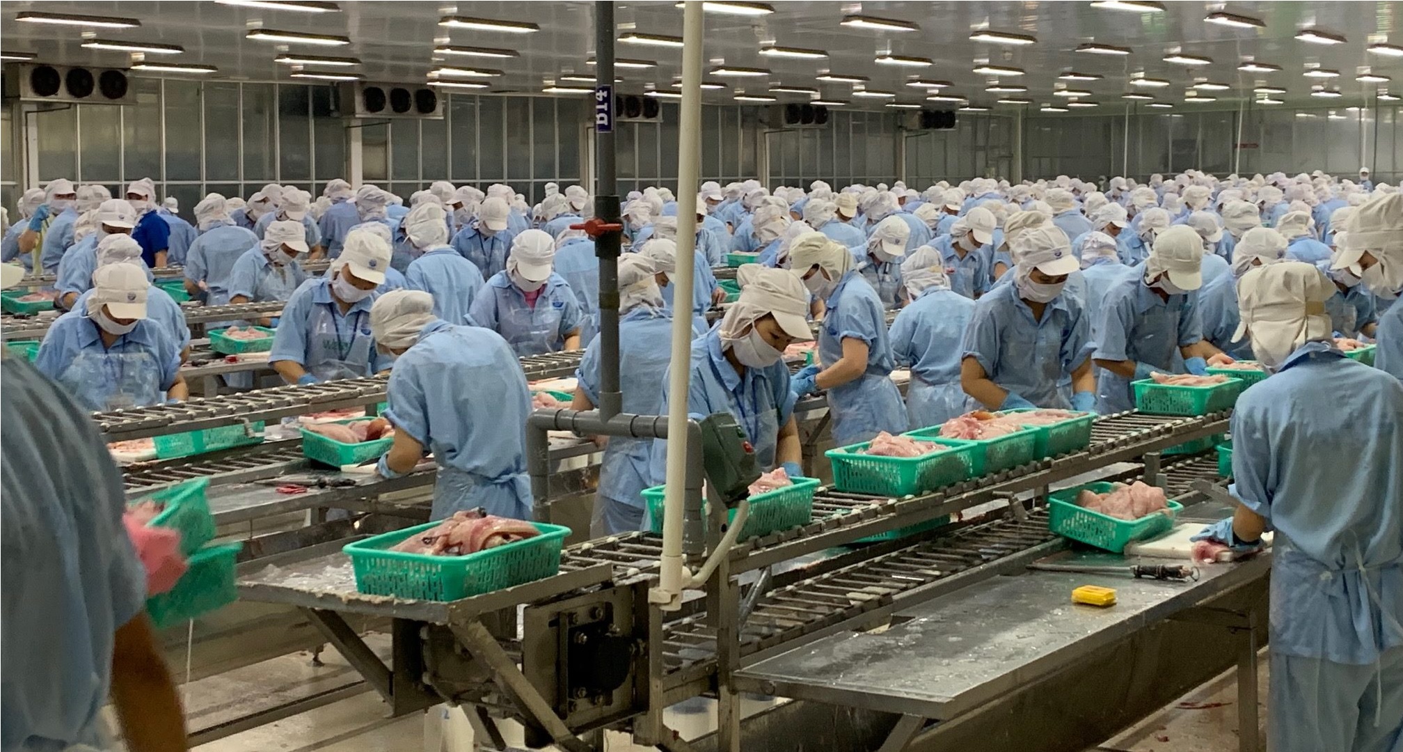 Seafood exports are difficult to recover before the end of 2023