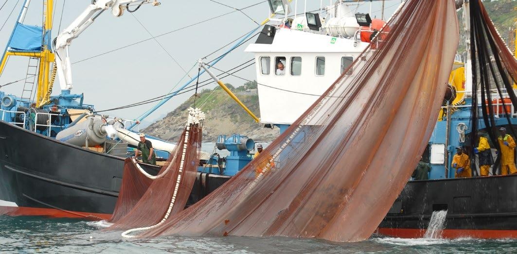 EU tập trung vào chuyển đổi năng lượng thuỷ sản 