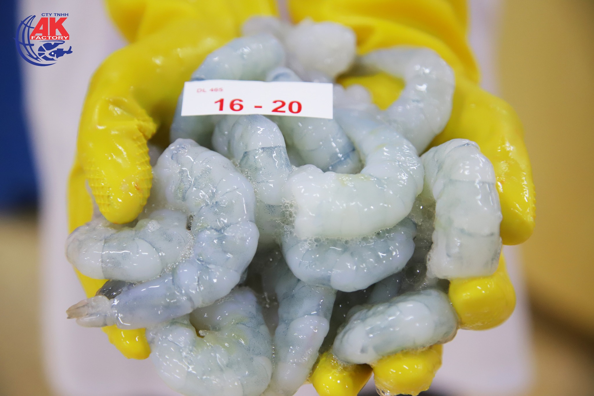  Vietnam seafood exports to the US  may recover in the second half of 2023