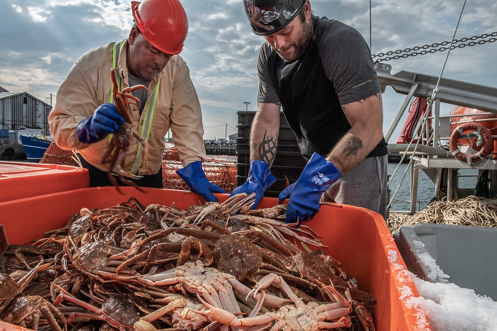 Tradex khuyên khách hàng đảm bảo tồn kho cua tuyết 