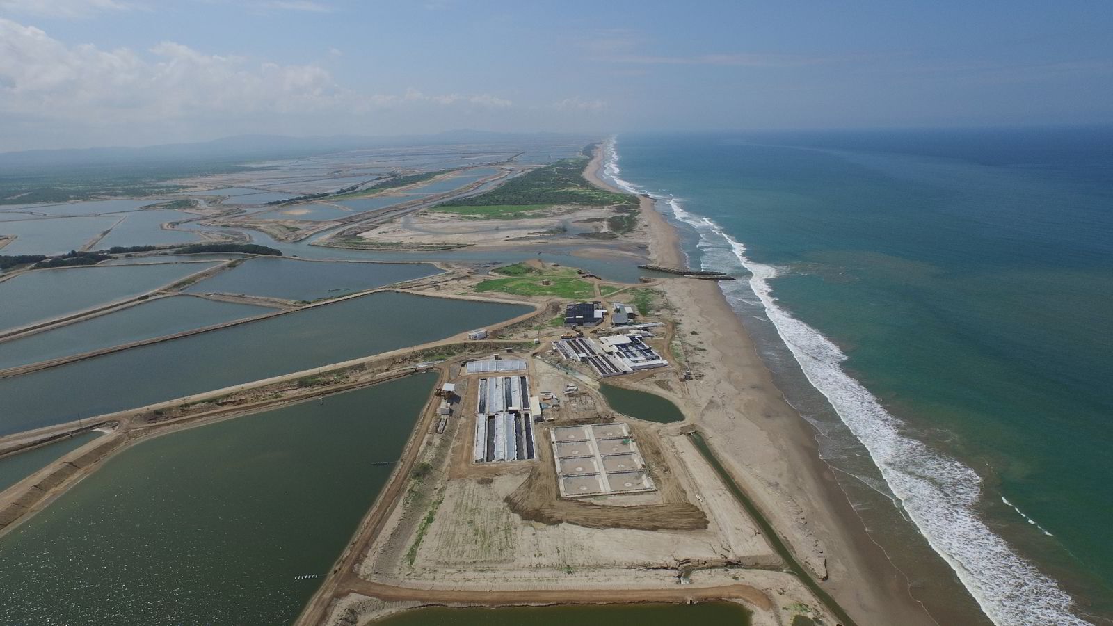 Sự ổn định tài chính của ngành tôm Ecuador bị đe dọa