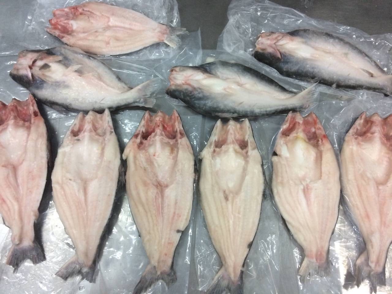 China doubles imports of pangasius butterfly cut