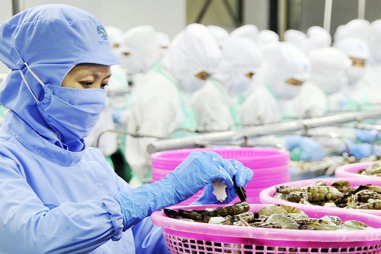 Tín hiệu tích cực cho xuất khẩu tôm sang Mỹ