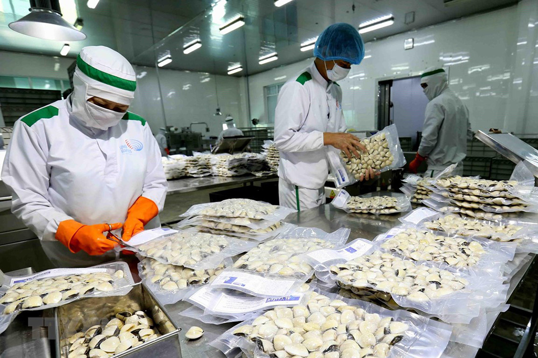 Infographic Xuất khẩu nhuyễn thể có vỏ của Việt Nam 5 tháng đầu năm 2023