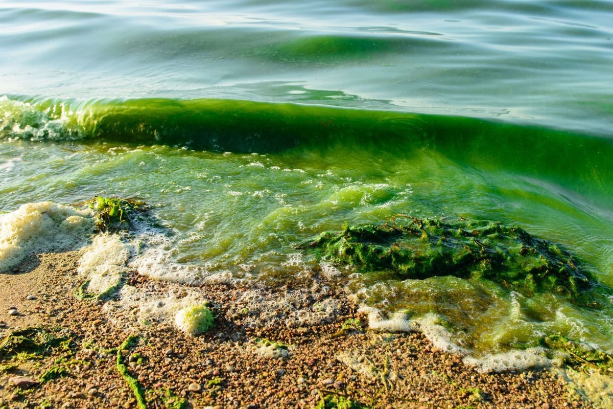 Hơn 90% diện tích nuôi trồng thủy sản toàn cầu bị ảnh hưởng bởi biến đổi khí hậu