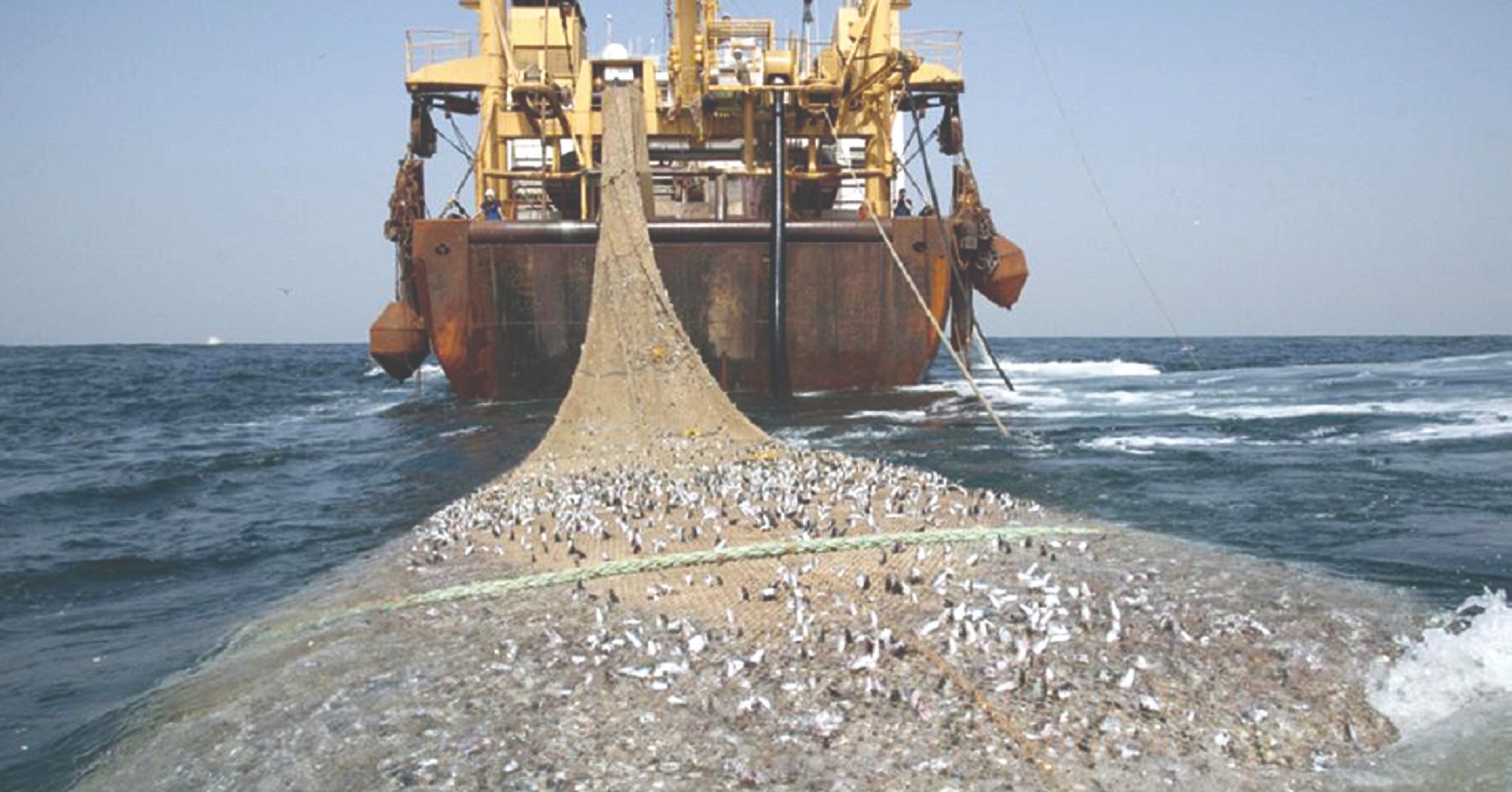 Ghana Tập trung chống hoạt động đánh bắt bất hợp pháp 