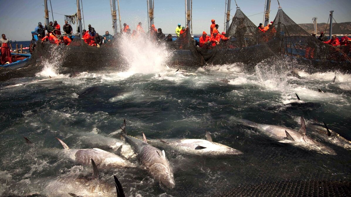 Mỹ hợp tác ngăn chặn hoạt động đánh bắt IUU