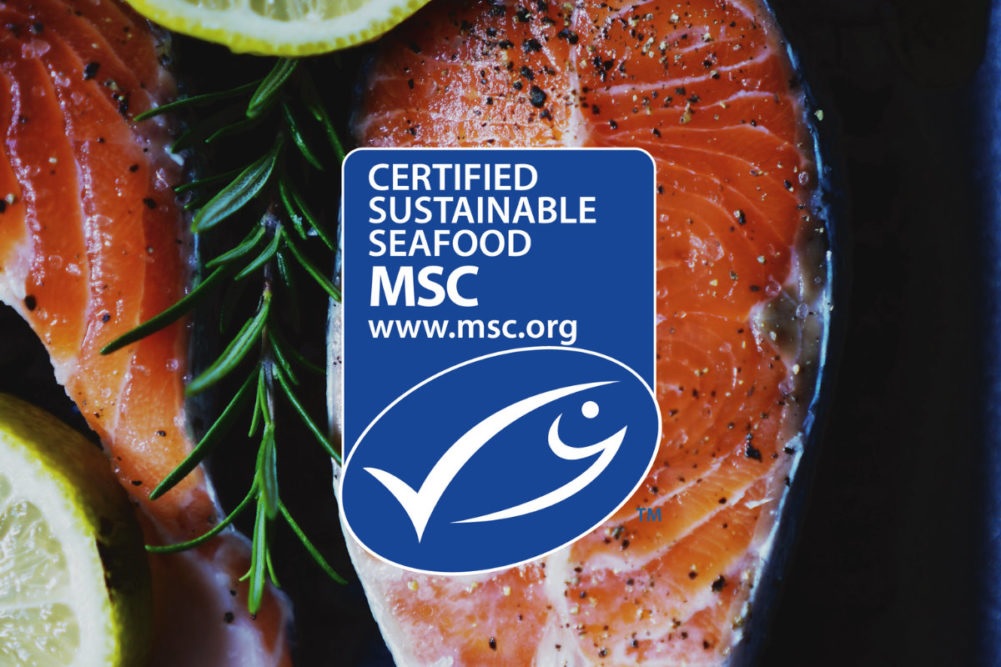 Báo cáo của “On The Hook” không phản ánh đúng nỗ lực của MSC