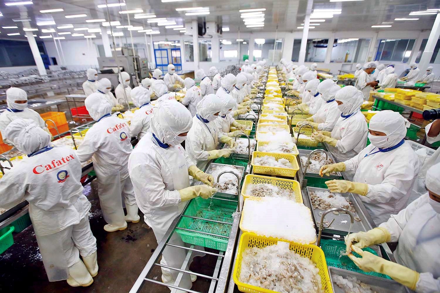 Any bright spots for seafood exports in the second half of the year