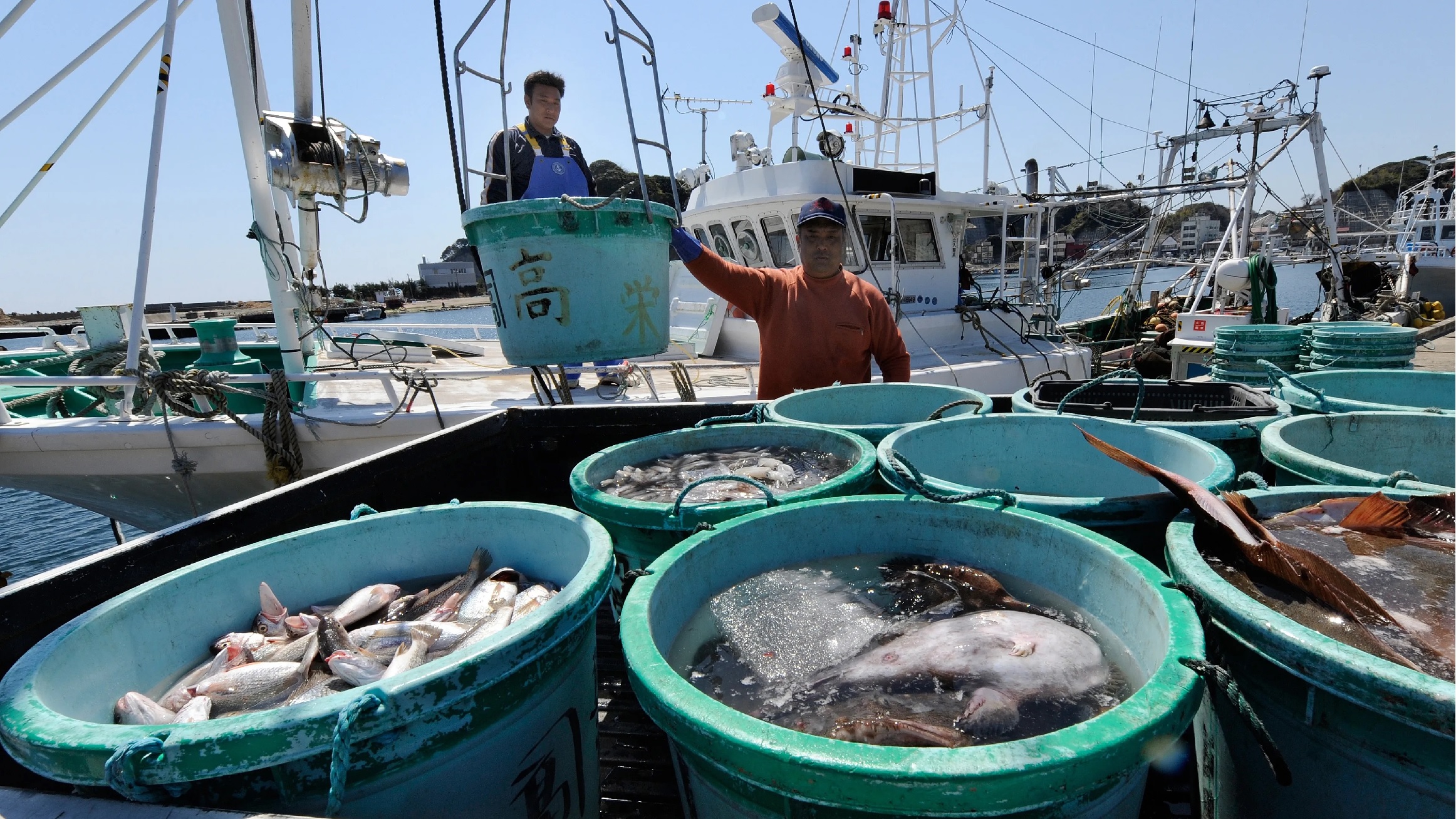 Nhật Bản gây áp lực lên Hàn Quốc để chấp nhận hải sản từ Fukushima