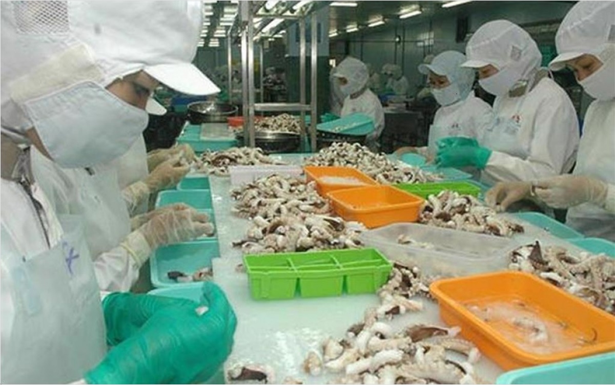 Vietnam’s cephalopod exports to Japan tend to recover