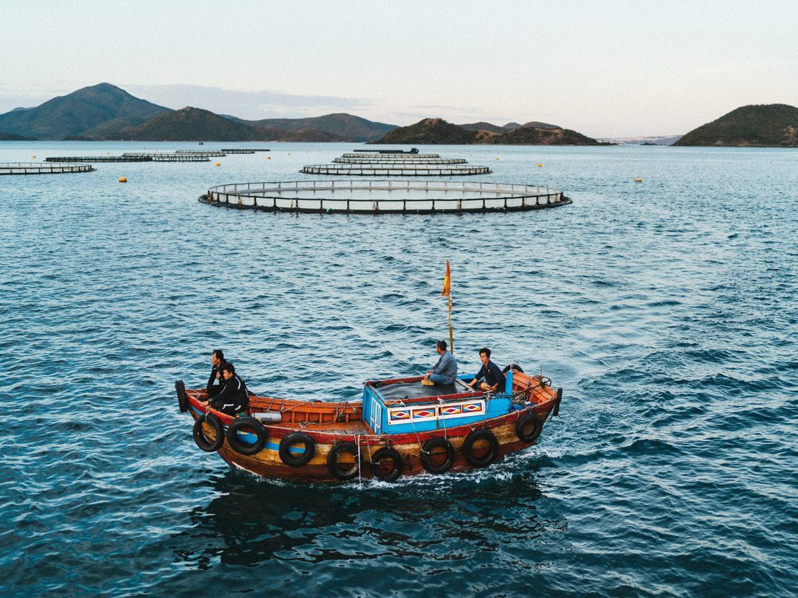 Australis Aquaculture được đầu tư 18 triệu USD để mở rộng sản xuất cá chẽm tại Việt Nam