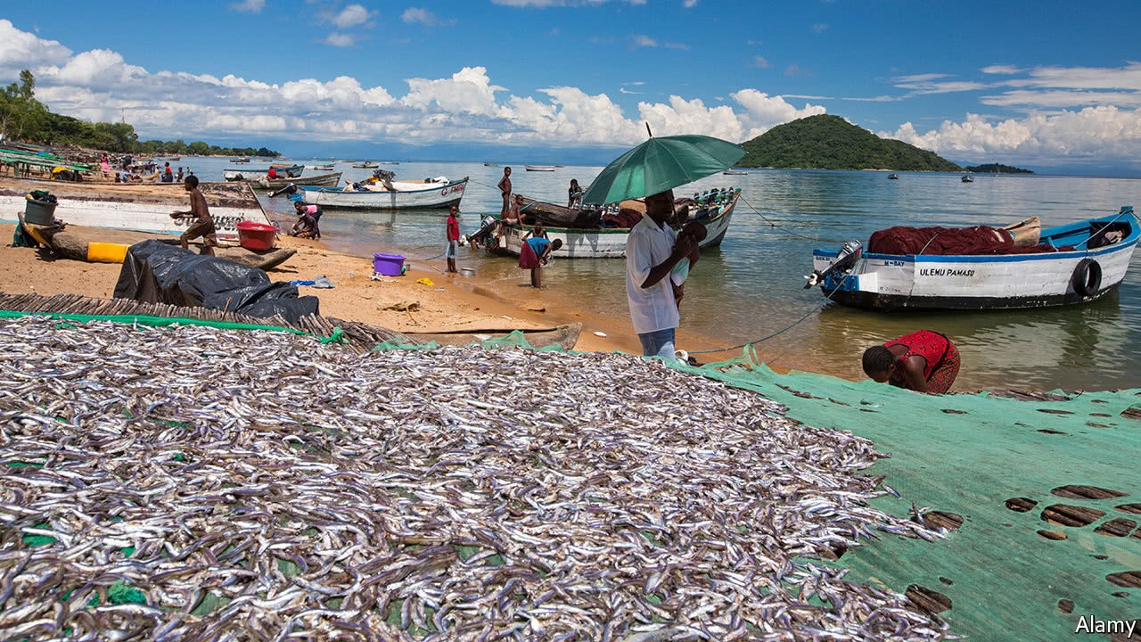  Tăng cường chia sẻ thông tin giúp cải thiện chống đánh bắt IUU