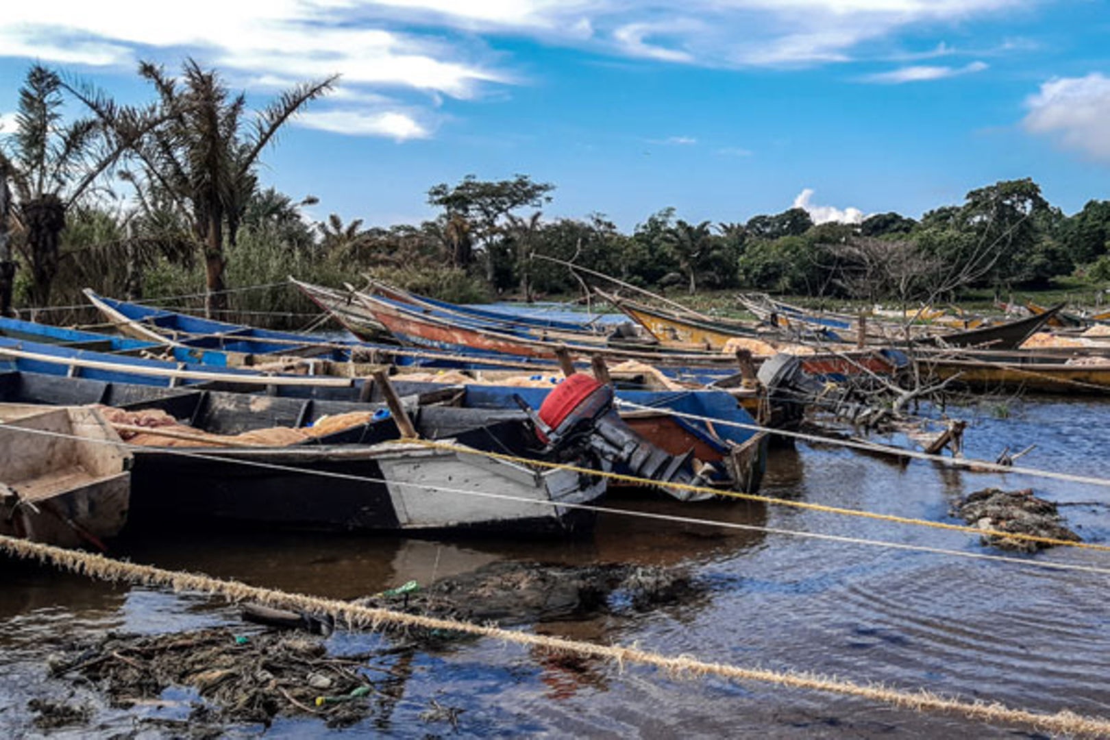 Ngư dân Uganda yêu cầu thực thi Luật Thủy sản