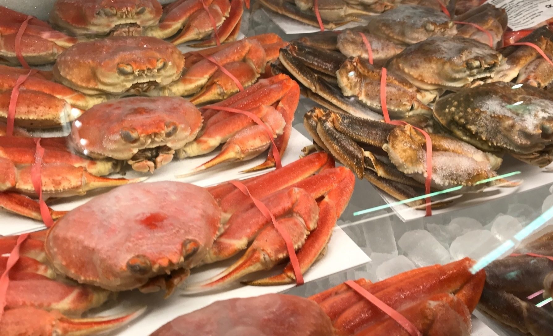 Nhập khẩu cua tuyết của Mỹ tăng 7% trong 5 tháng đầu năm