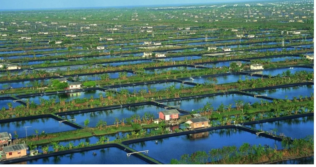 Indonesia tập trung cho nuôi trồng thủy sản