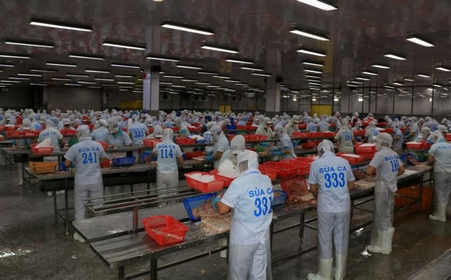 State bank launches VNĐ15 trillion credit package to support forestry and fishery businesses