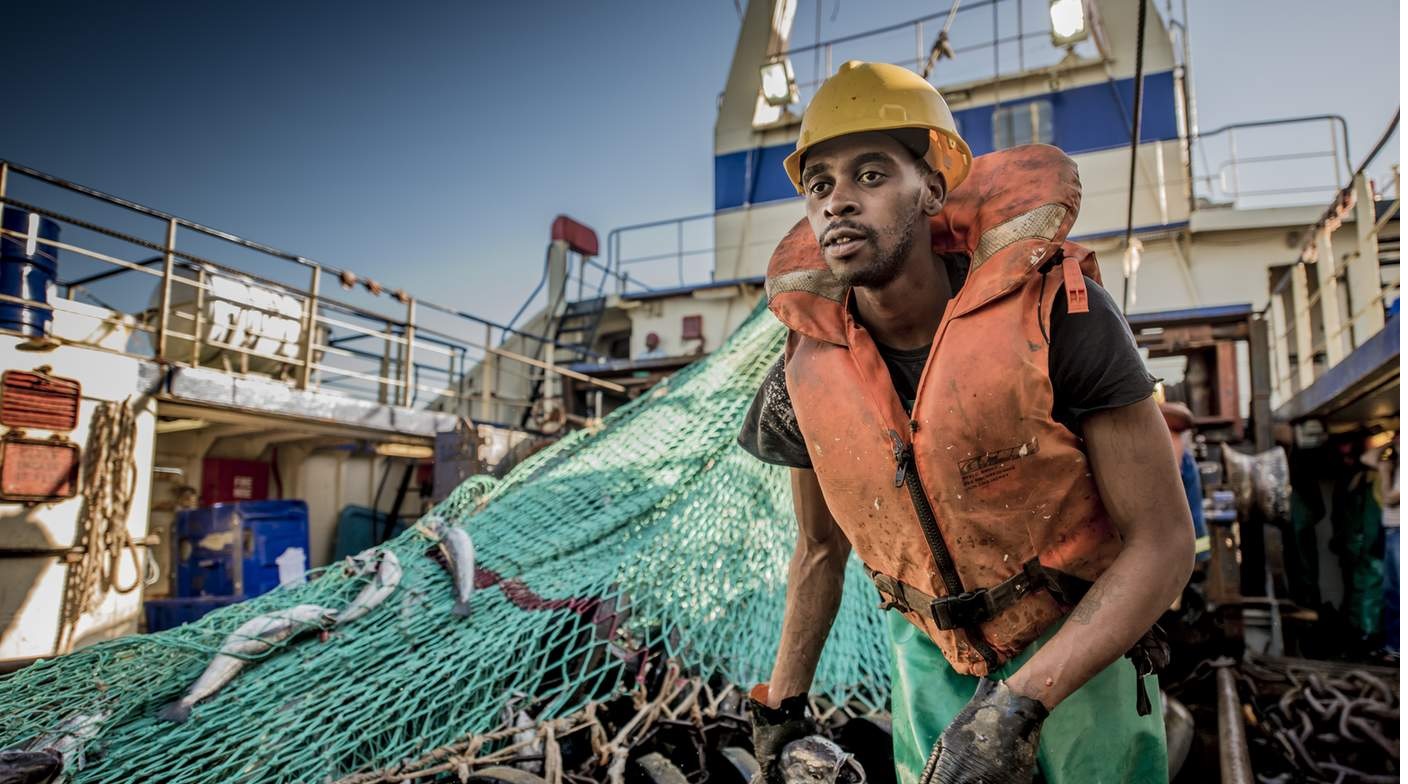 Nghề đánh bắt cá tuyết Nam Phi được MSC tài trợ