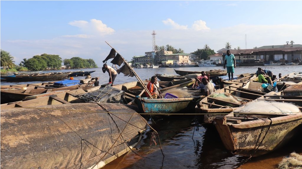 Cameroon Tăng cường minh bạch thuỷ sản qua truyền thông
