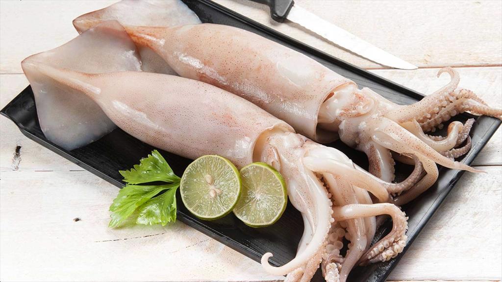 Ma-rốc bắt đầu mùa khai thác bạch tuộc mùa hè