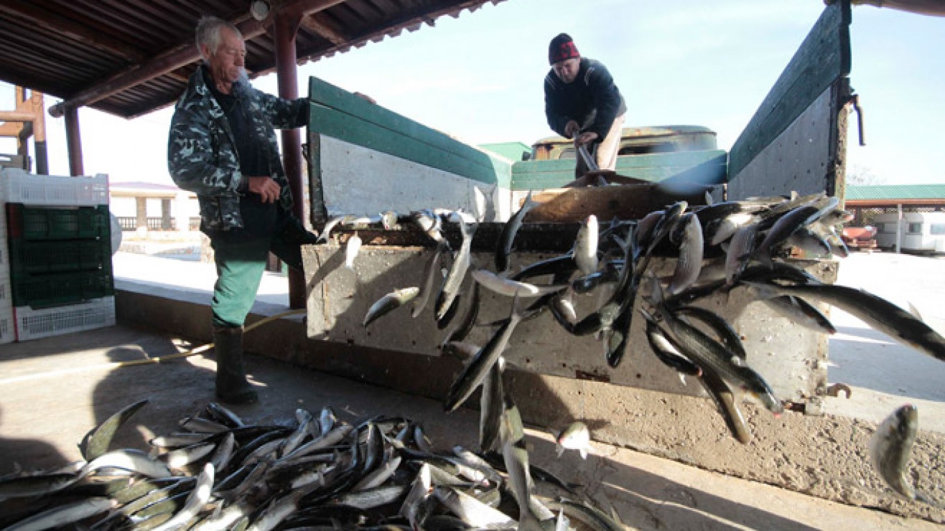 Nga thay đổi thuế, tài chính để khuyến khích cải thiện nghề cá