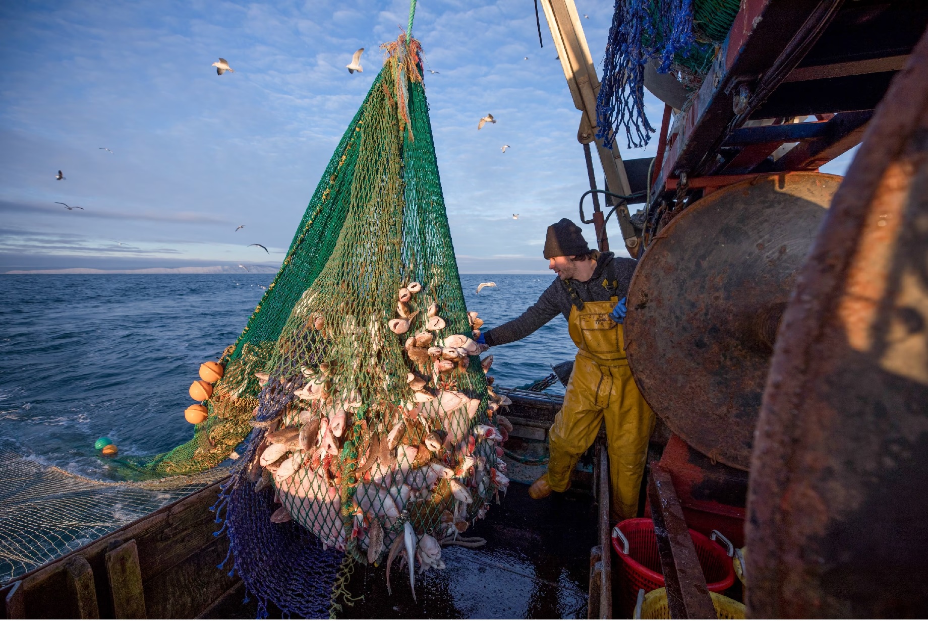 EU cấu trúc lại các quy tắc kiểm soát nghề cá