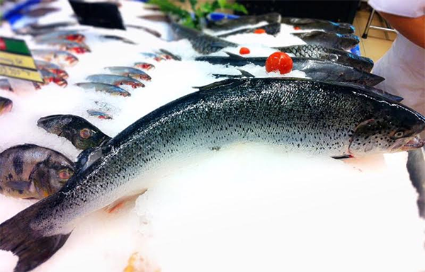 Ấn Độ giảm thuế cá hồi nhập khẩu từ Chile