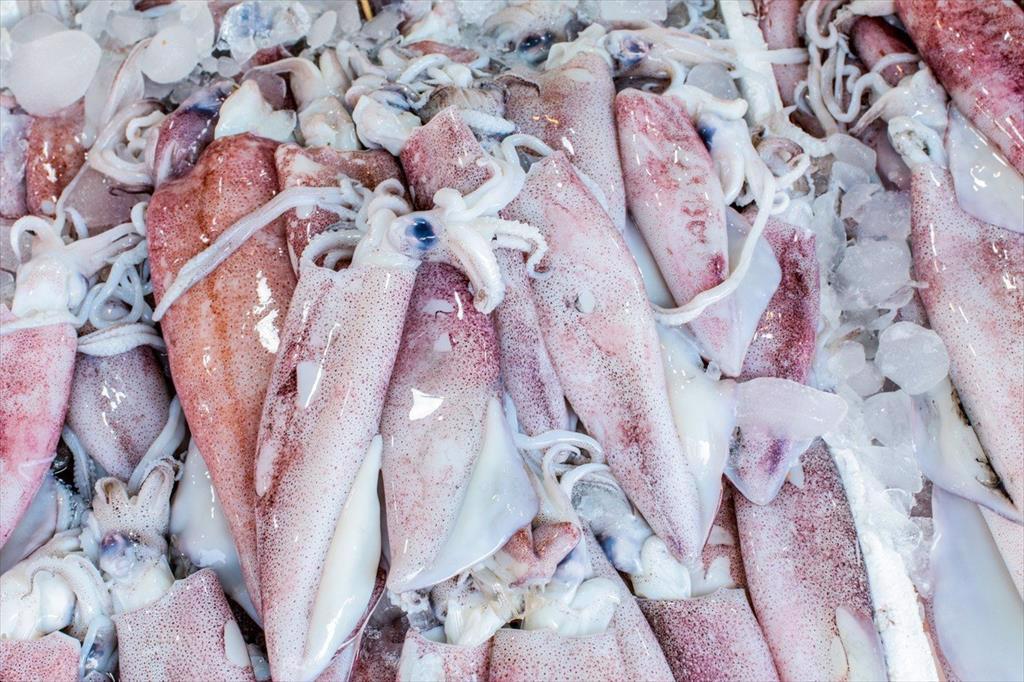 Headway JSC tăng trưởng sản lượng hàng thủy hải sản đông lạnh thông qua cửa khẩu Móng Cái