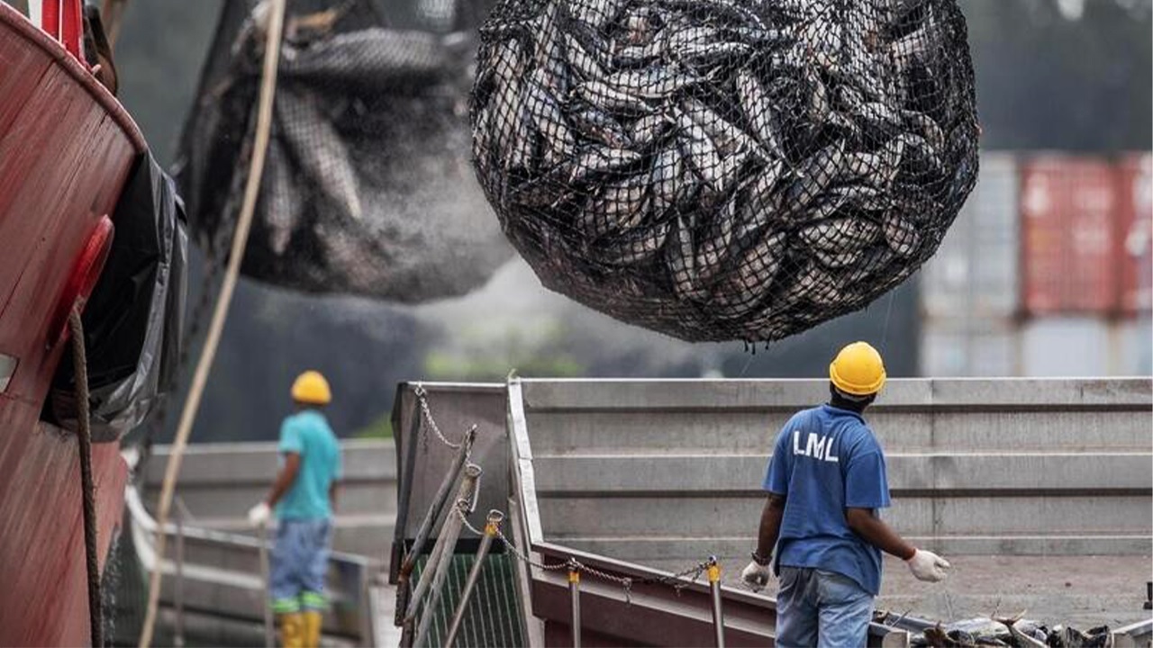 Seychelles thông qua khung pháp lý để kiểm soát nghề cá