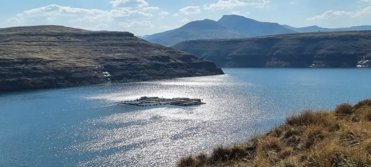 SanLei trở thành nhà sản xuất đầu tiên được chứng nhận BAP ở Nam Phi