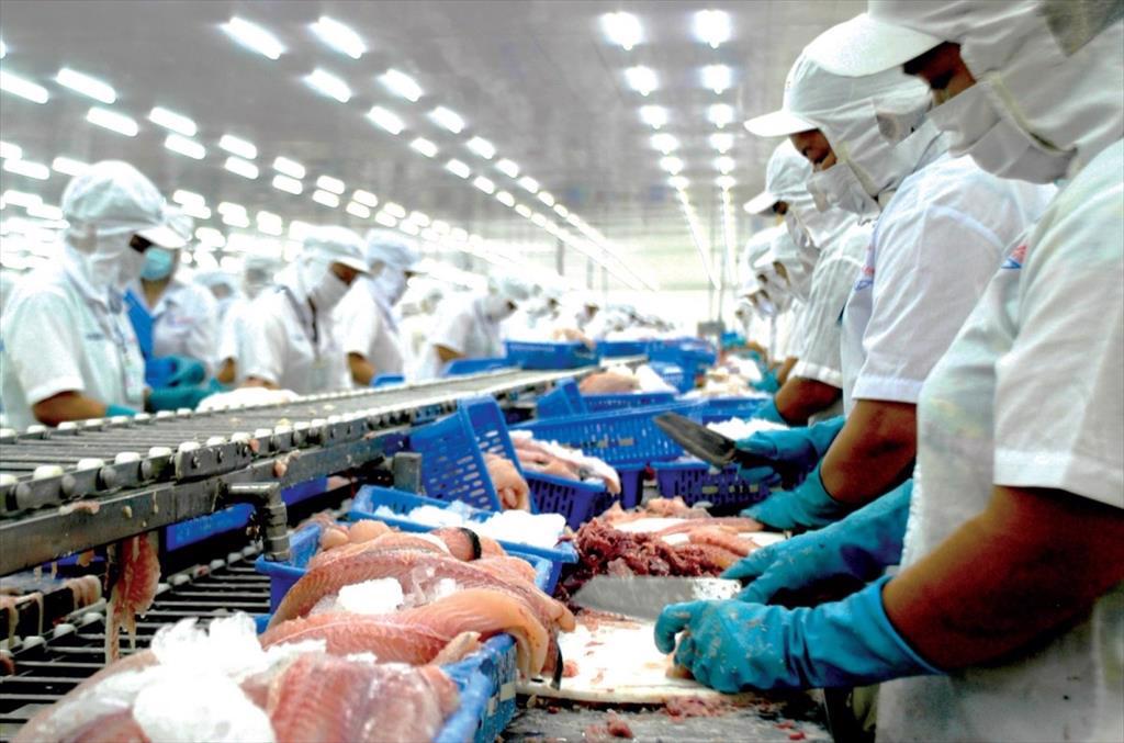 China still leads in importing Vietnamese pangasius