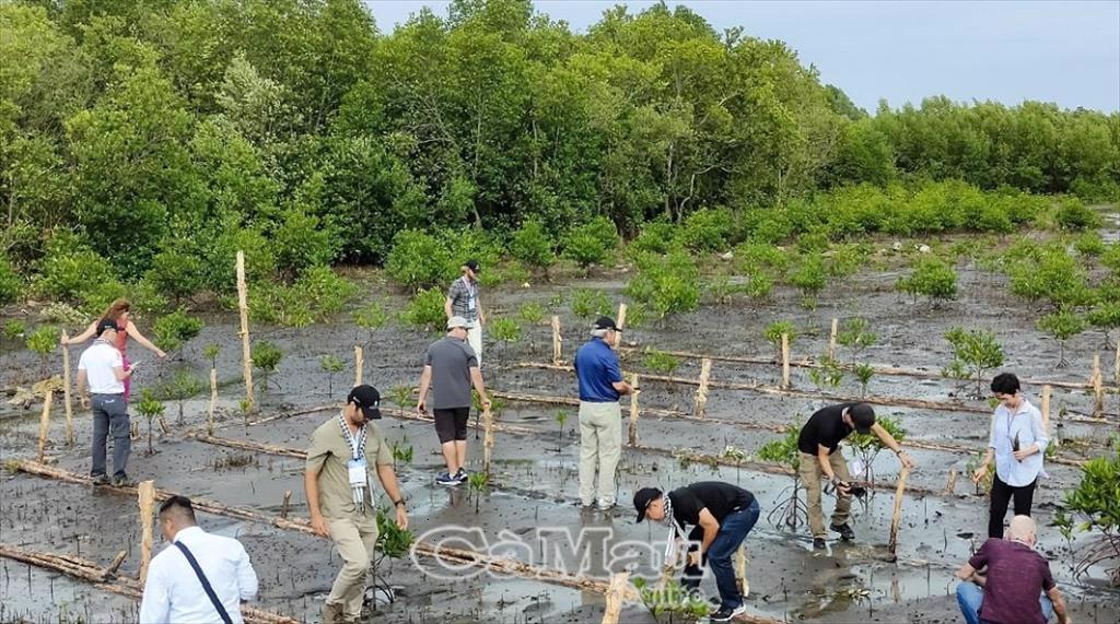 Cơ hội tốt để Cà Mau quảng bá thế mạnh ngành hàng tôm