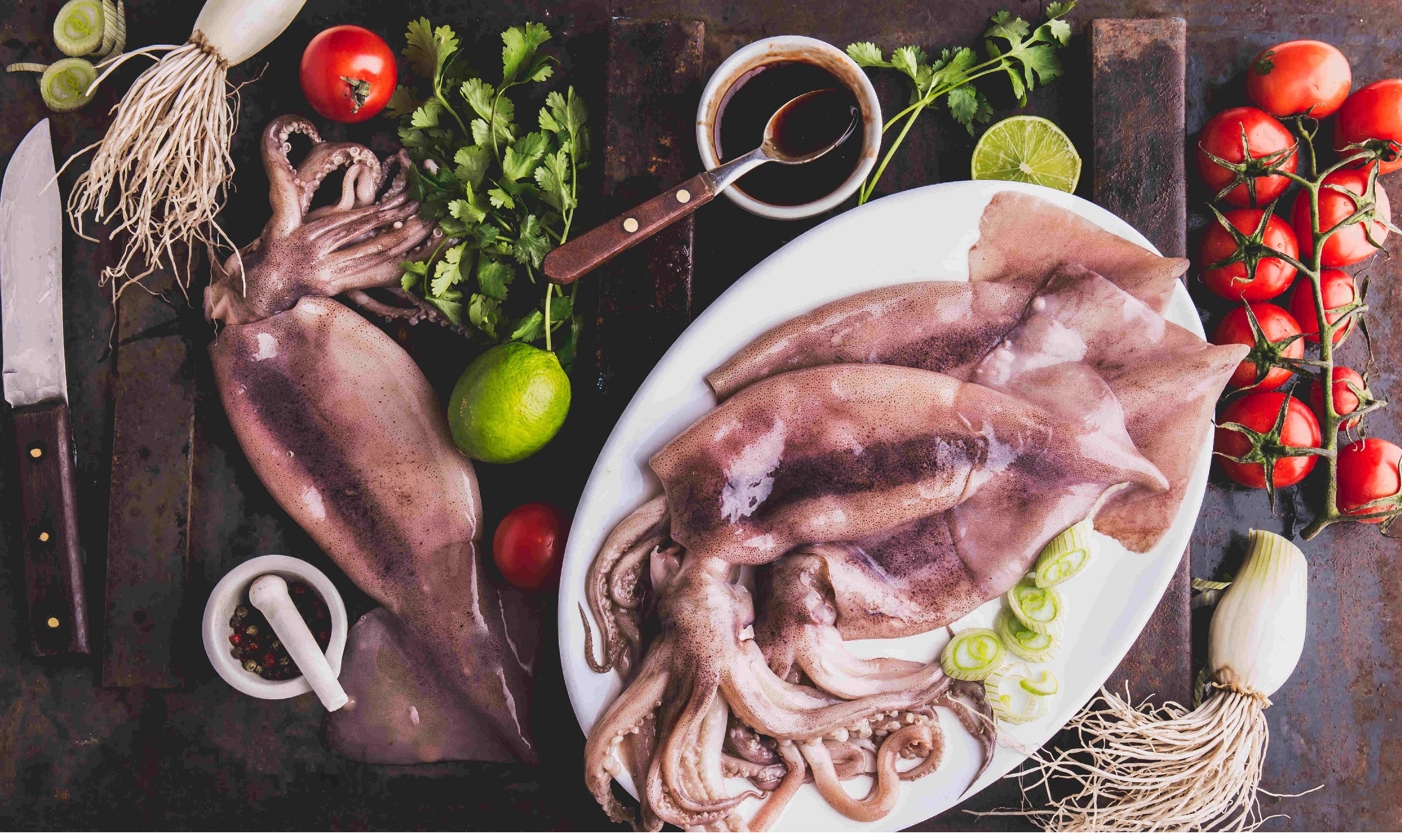 Doanh số bán mực ống của Argentina giảm mạnh trong tháng 52023