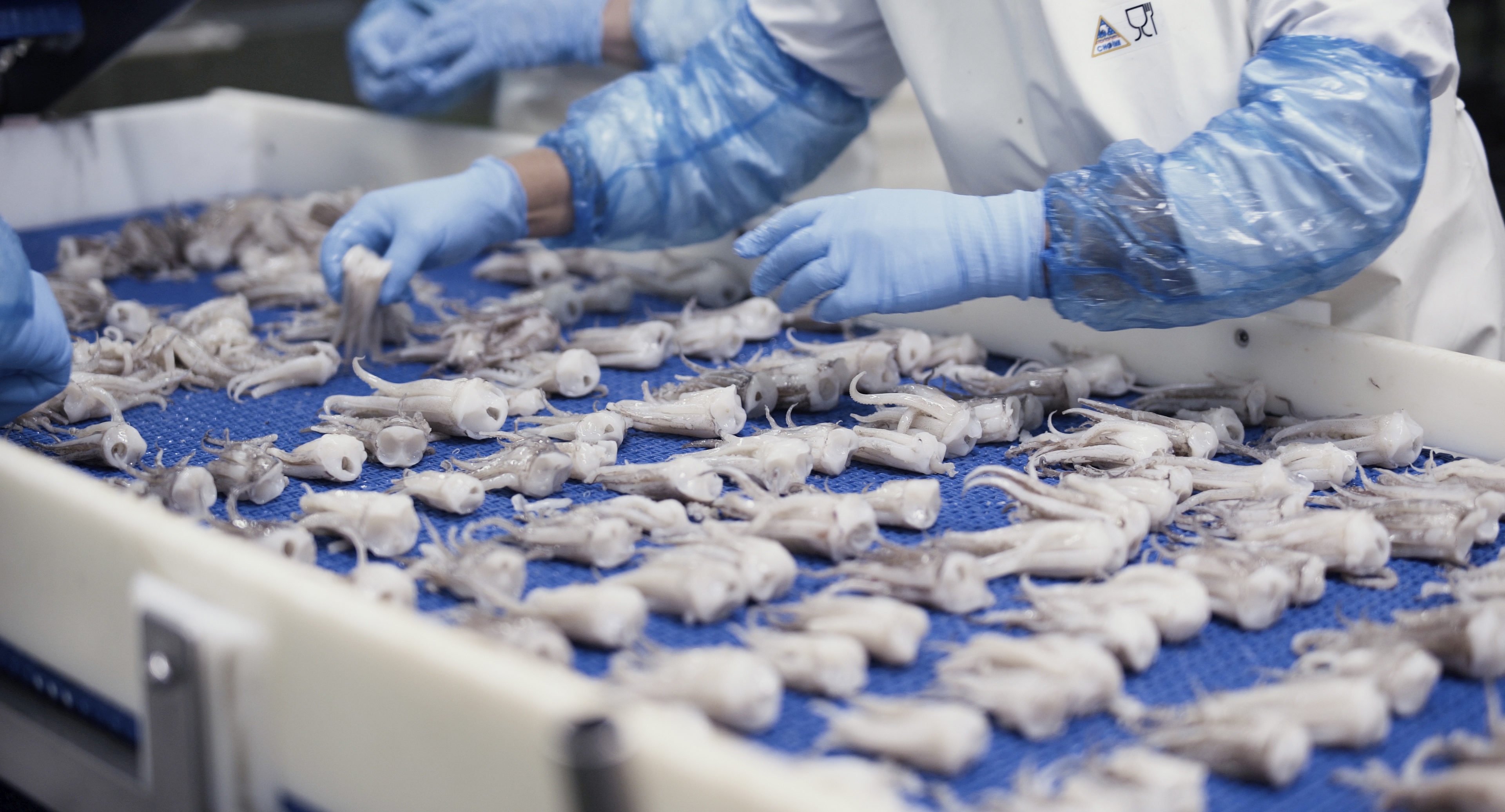 AIPCE-CEP hoan nghênh EU xây dựng quy định mới về ATQ