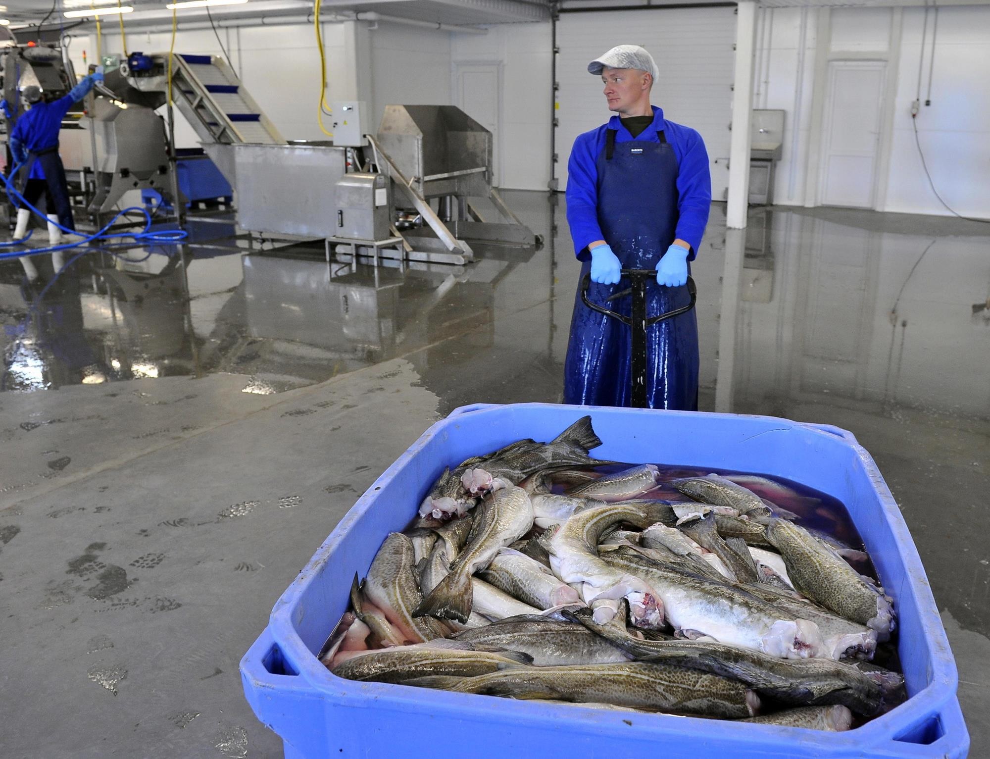 Nga phê duyệt danh mục sản phẩm thủy sản được khấu trừ thuế