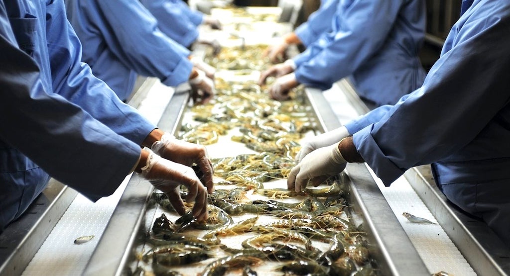 Xuất khẩu thủy sản trong các tháng cuối năm sẽ đi theo kịch bản nào