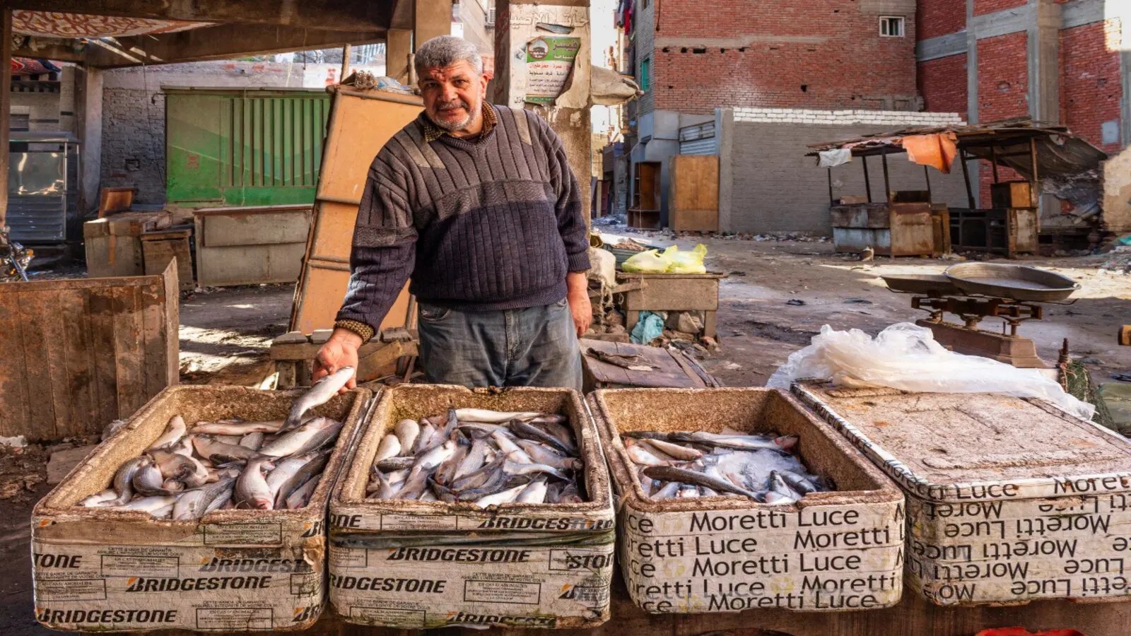 Ai Cập đạt sản lượng 2 triệu tấn cá