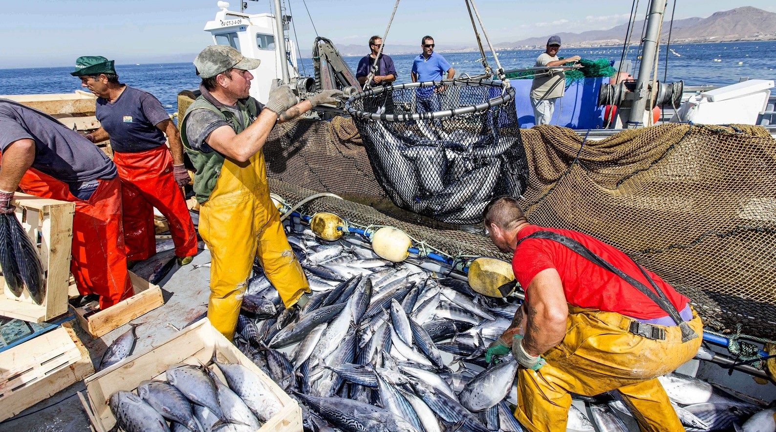 Các nước kêu gọi chấp nhận Hiệp định nghề cá của WTO