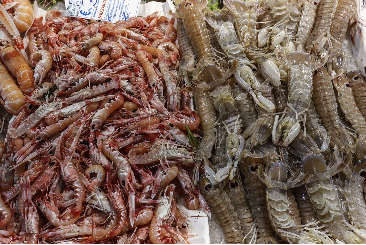 Nhu cầu tôm của Trung Quốc dự báo giảm trong nửa cuối năm nay