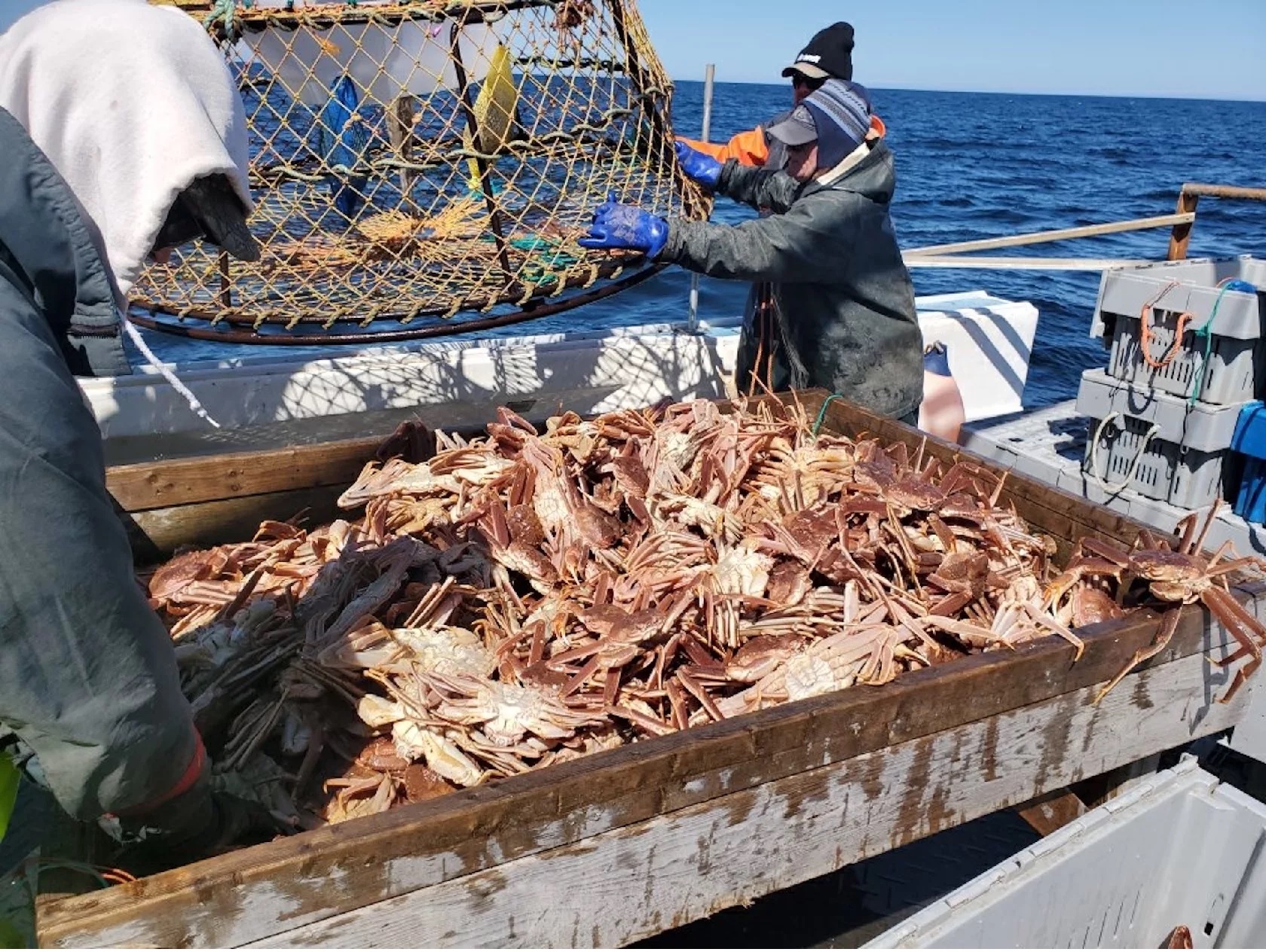 Lệnh cấm hải sản của Nga khiến doanh số bán cua của Na Uy tại Mỹ tăng vọt