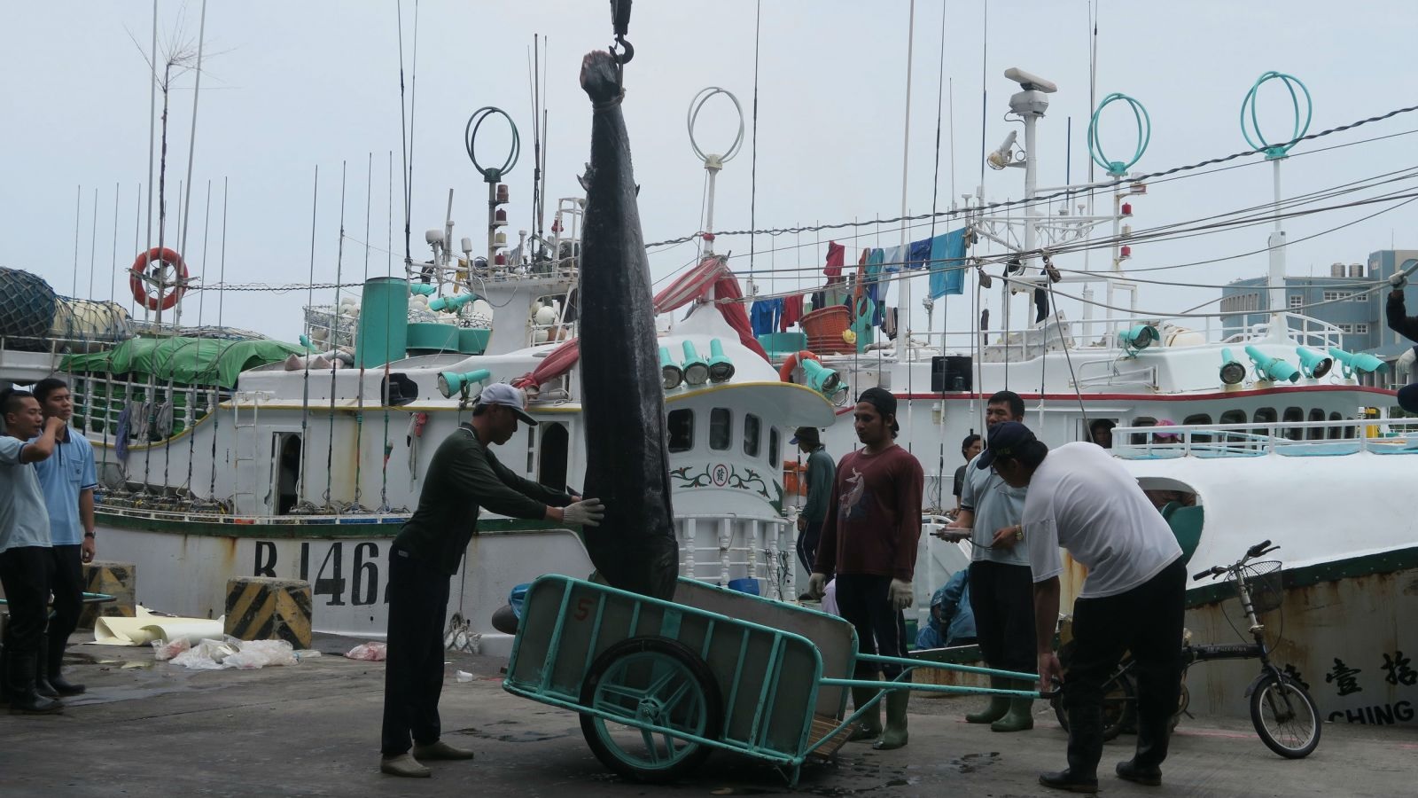 Tàu Đài Loan, Trung Quốc, Panama liên quan đến hoạt động trung chuyển tại RFMO