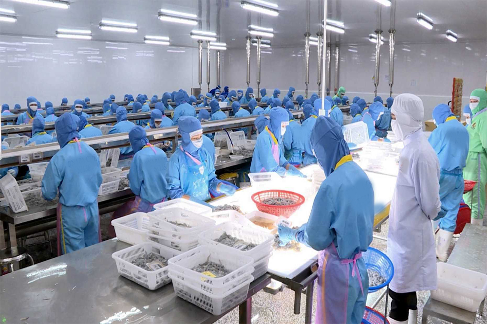 Chế biến thủy sản xuất khẩu vào EU phải đăng ký cơ sở sơ chế cung cấp nguyên liệu, bán thành phẩm