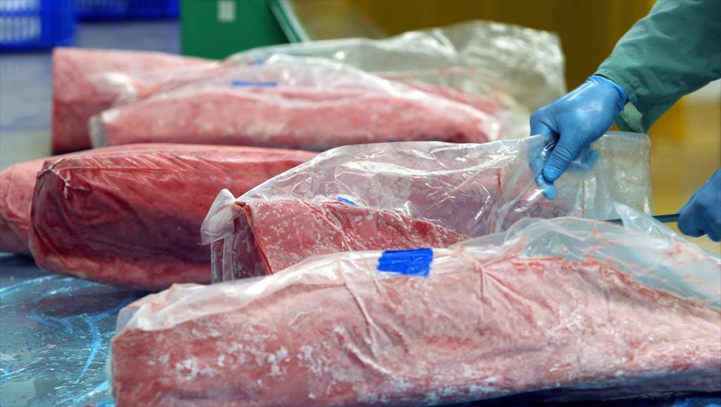 Xuất khẩu cá ngừ sang Italy tăng 12 lần trong tháng 62023