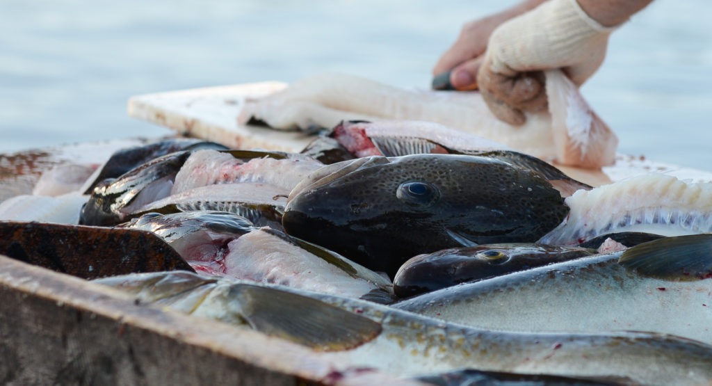 EU chuẩn bị gia hạn ATQ từ năm 2024 trở đi