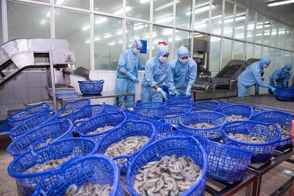 Sao Ta Foods (FMC) July sales increased by 18% compared to June 2023