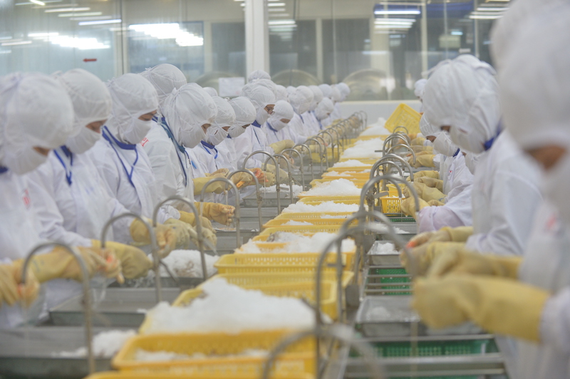 Việt Nam tăng xuất khẩu tôm sú chế biến sang Hàn Quốc 